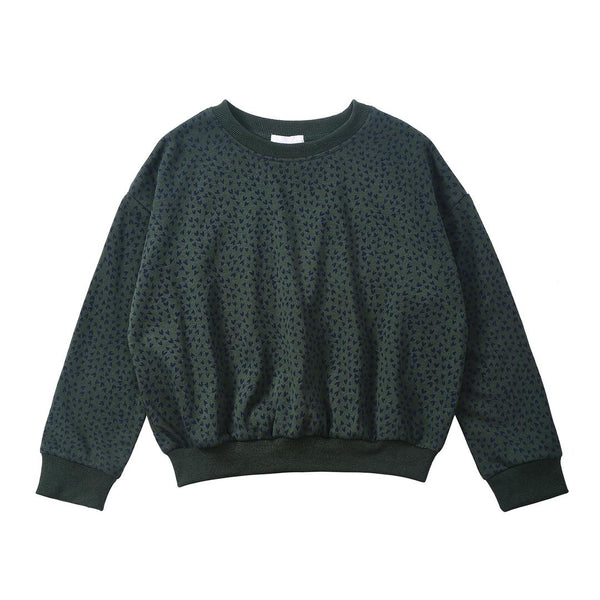 Dinky Girls Hearts Sweatshirt Green/Blue